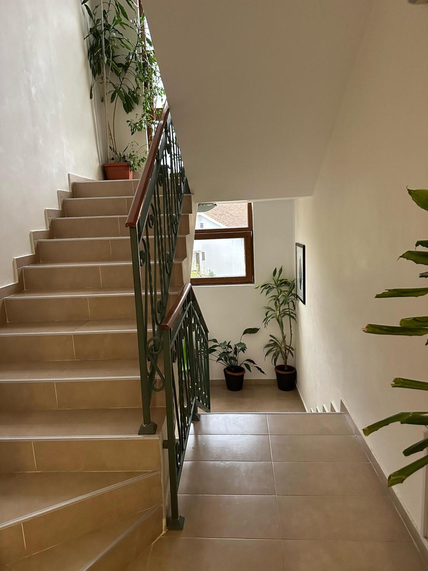Apartments Krapina Lux Budva Exterior foto